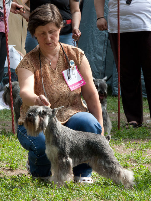 Venus La Pologne Mengo Celebration